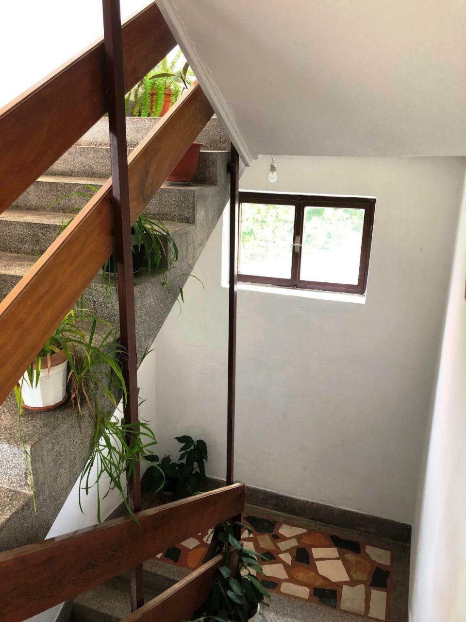 Apartmani Zorka 珀德垂那 外观 照片